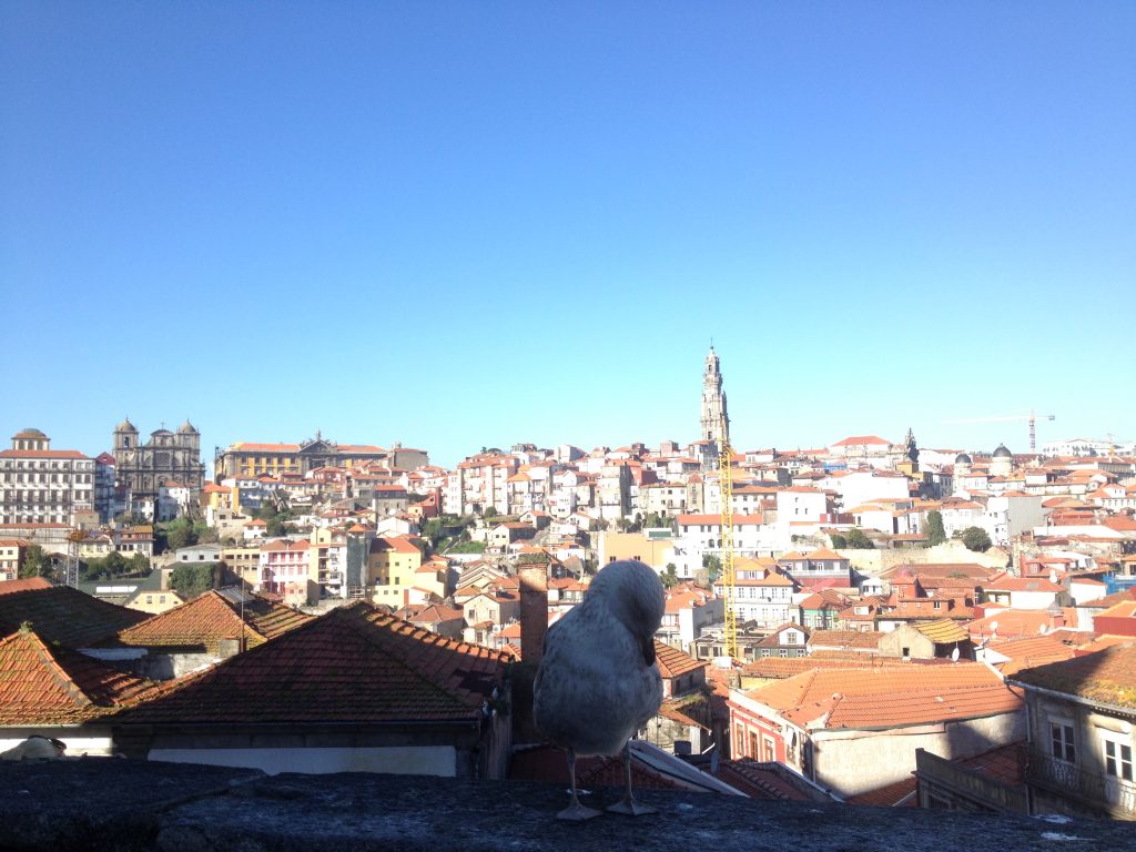 oporto-13