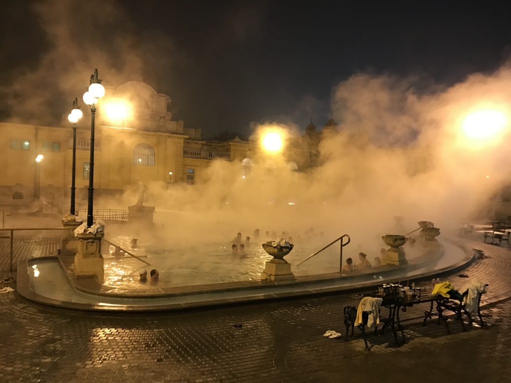 Tre giorni a Budapest 11