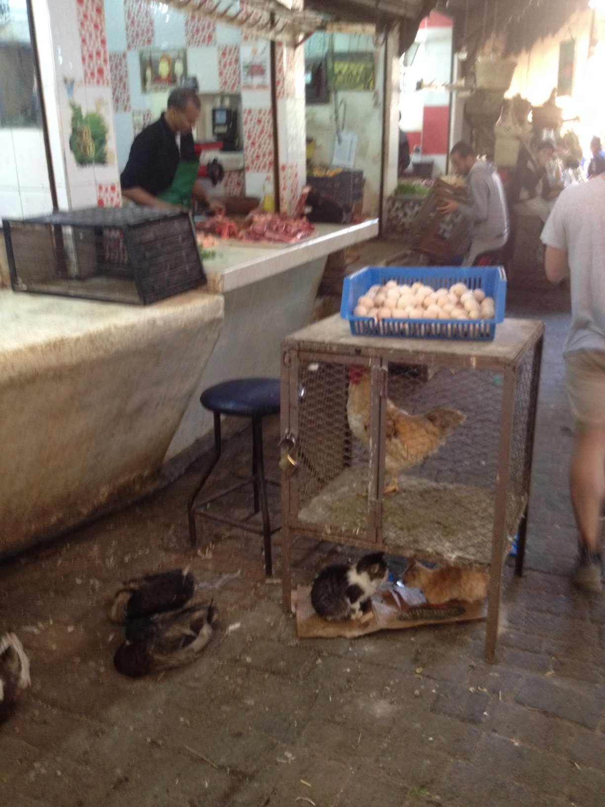 Un Weekend a Fez 04